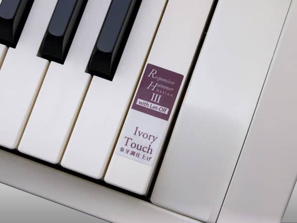 ES Portable Piano Key Surfaces